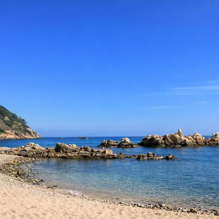Port Marina *